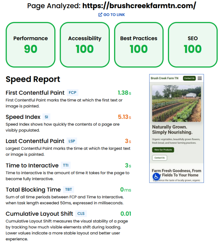 brushcreekfarmtn.com iQ Site Speed Result